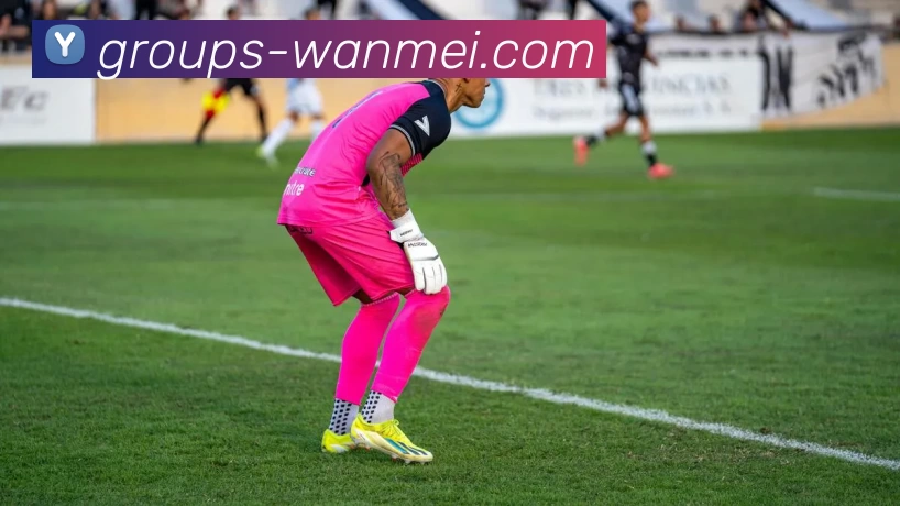 完美体育投注平台发展历程